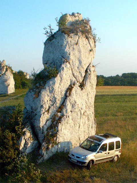 Kangoo 07.jpg