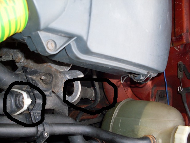 SDC11055.JPG