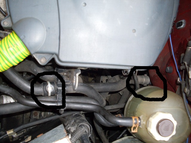 SDC11056.JPG