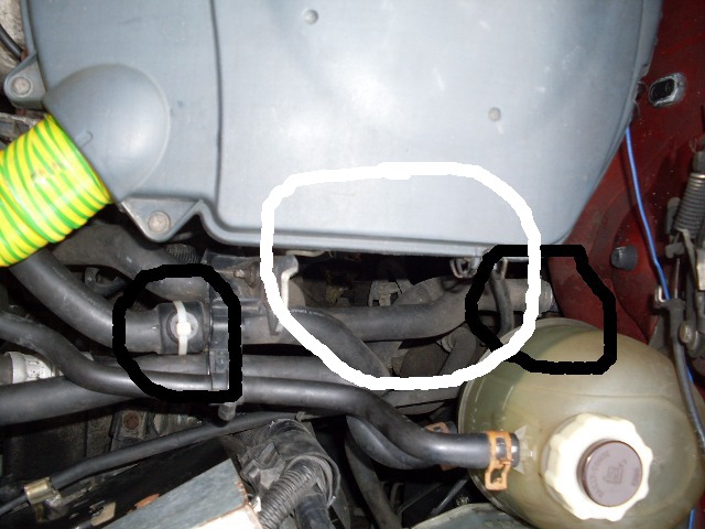 SDC11056.JPG