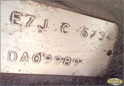 25817_3.jpg
